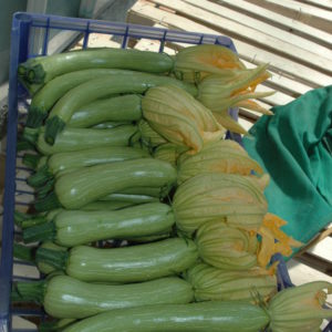 courgette nice fruits