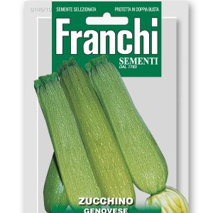 courgette genovese